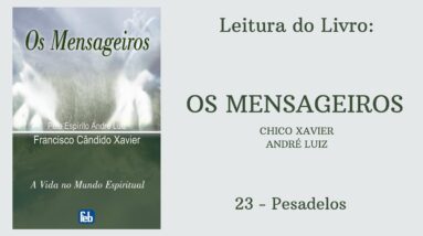 Livro: Os Mensageiros - Chico Xavier/André Luiz - 23 - Pesadelos