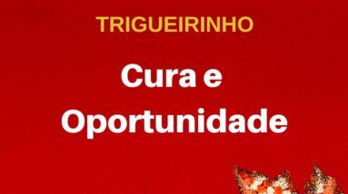 Trigueirinho | Cura e Oportunidade