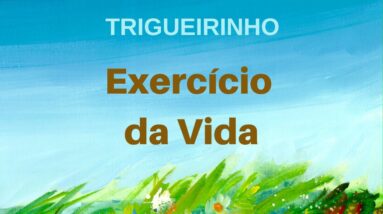 Trigueirinho | Exercício da Vida