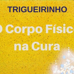 Trigueirinho | O Corpo Físico na Cura