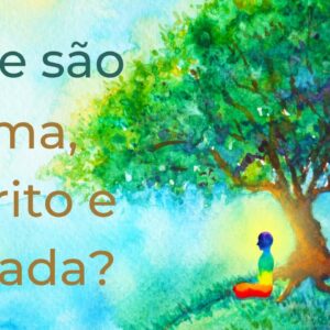 Trigueirinho | O que são Alma, Espírito e Mônada?