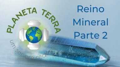 Trigueirinho | Planeta Terra um Ser em Redenção - Parte 2  - Reino Mineral