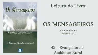 Livro: Os Mensageiros - Chico Xavier/André Luiz - 42 - Evangelho no Ambiente Rural