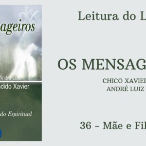 Livro: Os Mensageiros - Chico Xavier/André Luiz - 36 - Mãe e Filhos