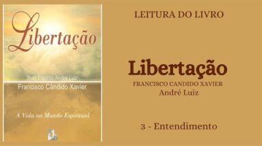 Libertação - Chico Xavier/André Luiz - 3 - Entendimento