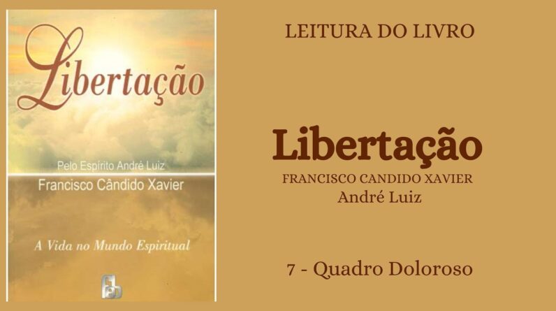 Libertação - Chico Xavier/André Luiz - 7 - Quadro Doloroso